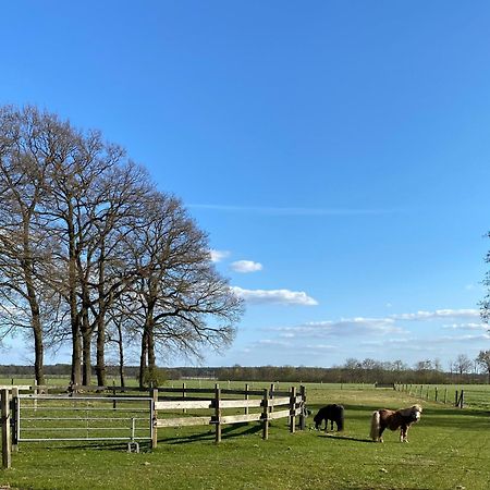 Ferienhof Westermann Waldblick Lähden Zewnętrze zdjęcie